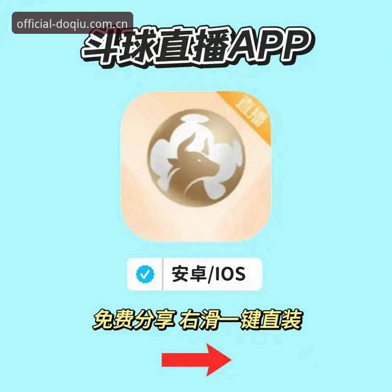 斗球是否需要付费安装失败？这份实用排查指南帮你一次解决
